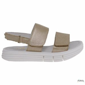 POLLINO 3086 gold