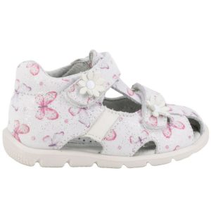 CICIBAN 352163 LOTUS