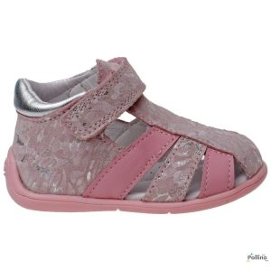POLLINO 4167 ROSA