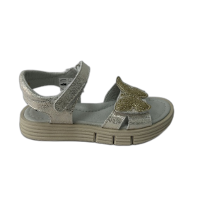 CICIBAN 366470 joelle platino