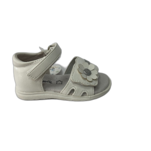POLLINO 501506 bianco